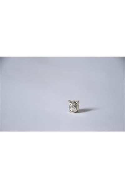 Pandora, Charm Bileklik Uyumlu, Gümüş, Charm takıNM225