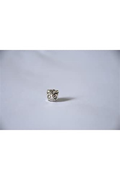 Pandora, Charm Bileklik Uyumlu, Gümüş, Charm takıNM222