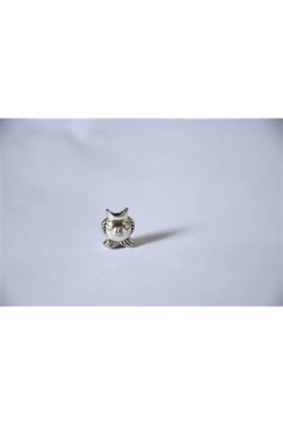 Pandora, Charm Bileklik Uyumlu, Gümüş, Charm takıNM200