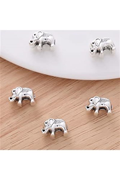 PANDORA CHARM BİLEKLİK UYUMLU GÜMÜŞ CHARM takıNM105