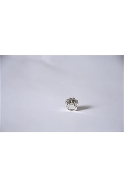 Pandora, Charm Bileklik Uyumlu, Gümüş, Charm takıNM254