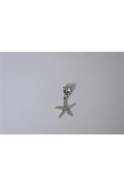 Pandora, Charm Bileklik Uyumlu, Gümüş, Charm takıNM239