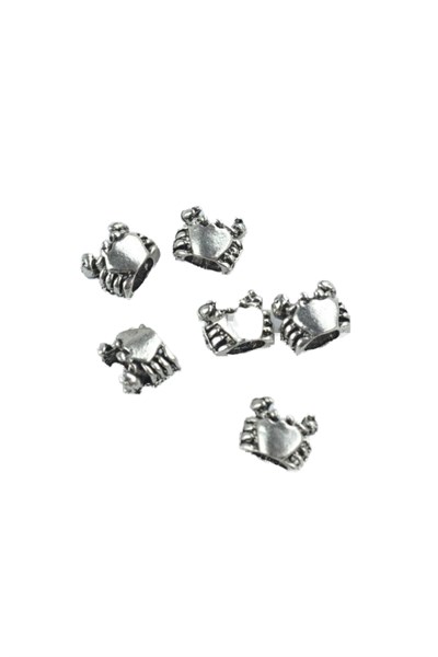 PANDORA CHARM BİLEKLİK UYUMLU GÜMÜŞ CHARM takıNM103