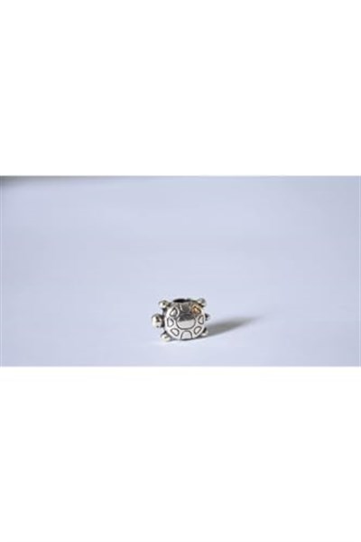 Pandora, Charm Bileklik Uyumlu, Gümüş, Charm takıNM283