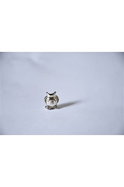 Pandora, Charm Bileklik Uyumlu, Gümüş, Charm takıNM200