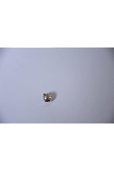 Pandora, Charm Bileklik Uyumlu, Gümüş, Charm takıNM153