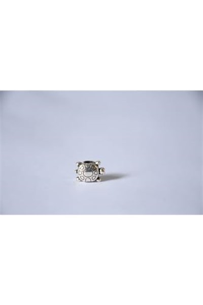 Pandora, Charm Bileklik Uyumlu, Gümüş, Charm takıNM298