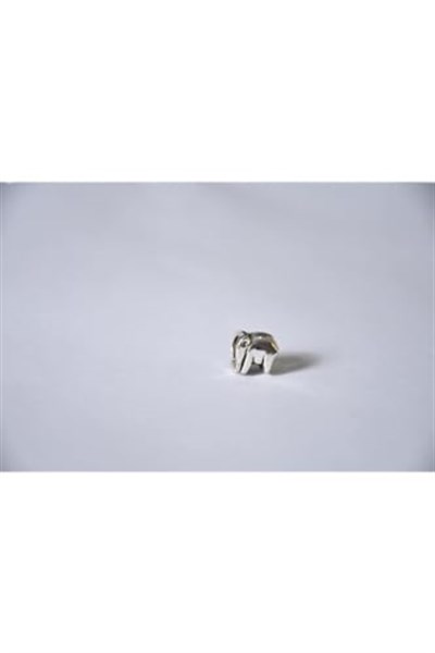 Pandora, Charm Bileklik Uyumlu, Gümüş, Charm takıNM174