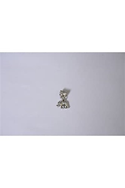 Pandora, Charm Bileklik Uyumlu, Gümüş, Charm takıNM267