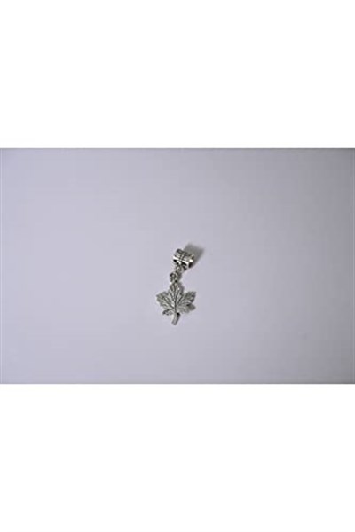 Pandora, Charm Bileklik Uyumlu, Gümüş, Charm takıNM242