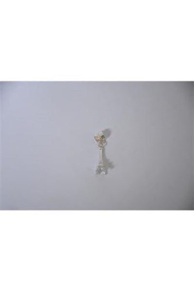 Pandora, Charm Bileklik Uyumlu, Gümüş, Charm takıNM226