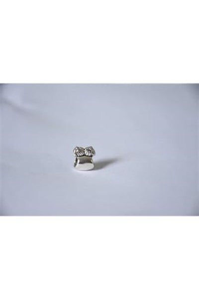Pandora, Charm Bileklik Uyumlu, Gümüş, Charm takıNM261
