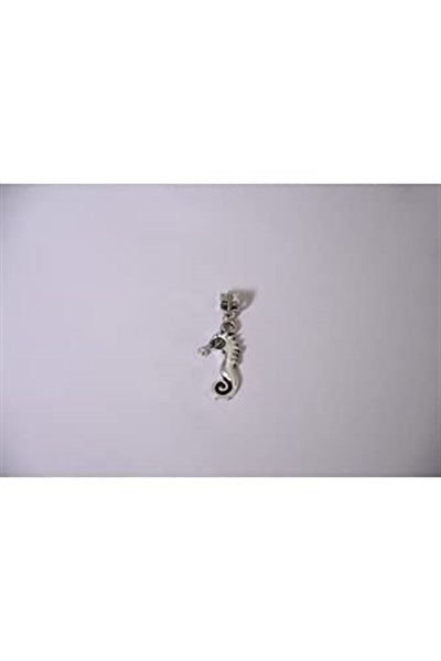 Pandora, Charm Bileklik Uyumlu, Gümüş, Charm takıNM207