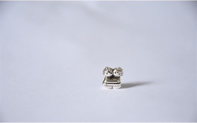 Pandora, Charm Bileklik Uyumlu, Gümüş, Charm takıNM148