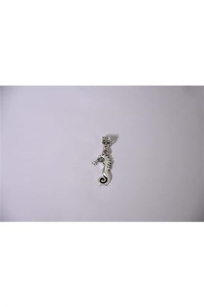 Pandora, Charm Bileklik Uyumlu, Gümüş, Charm takıNM207