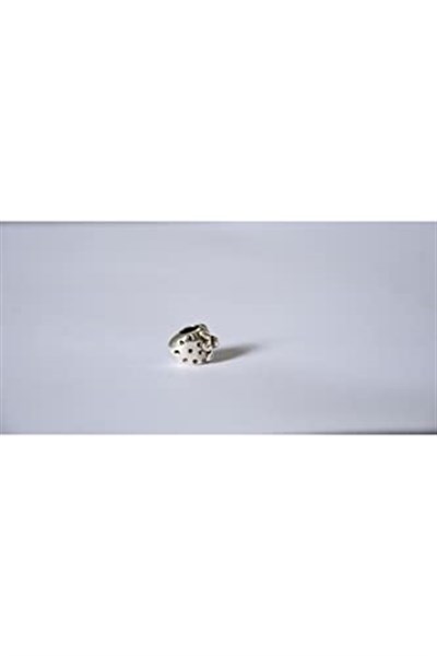 Pandora, Charm Bileklik Uyumlu, Gümüş, Charm takıNM284
