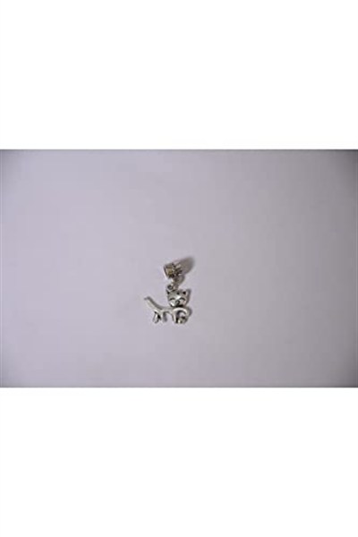 Pandora, Charm Bileklik Uyumlu, Gümüş, Charm takıNM271