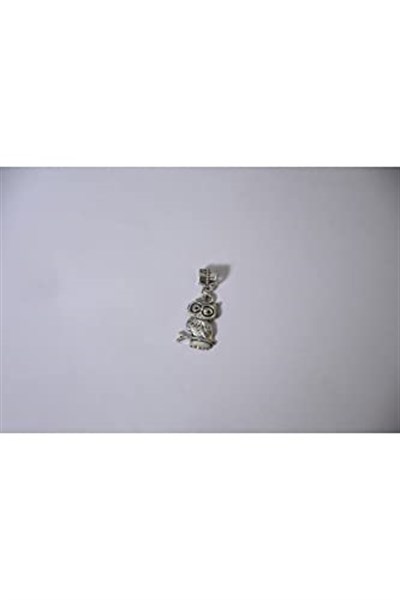 Pandora, Charm Bileklik Uyumlu, Gümüş, Charm takıNM160