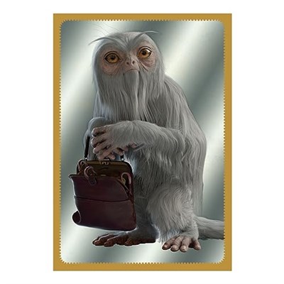 Panini Harry Potter 004387AF A Year at Hogwarts Albüm + Kart Tutucu