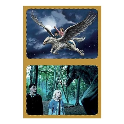 Panini Harry Potter 004387AF A Year at Hogwarts Albüm + Kart Tutucu