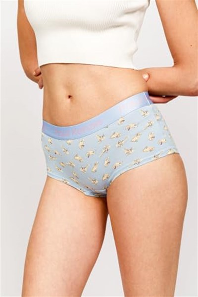 Paul Kenzie x Kurtaran Ev - Desenli Kadın Boyshort Külot - Poppy