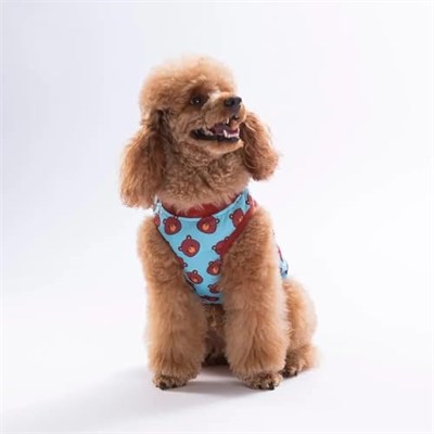 PawStar 26838 Bears Tişört - Bedenler: M, L