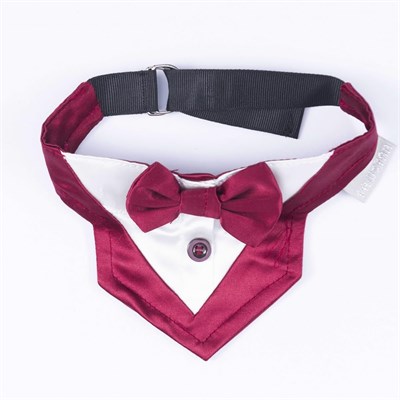 Pawstar Bordo Smokin Kedi/Köpek Fuları (1)