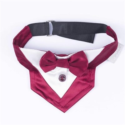 Pawstar Bordo Smokin Kedi/Köpek Fuları (1)