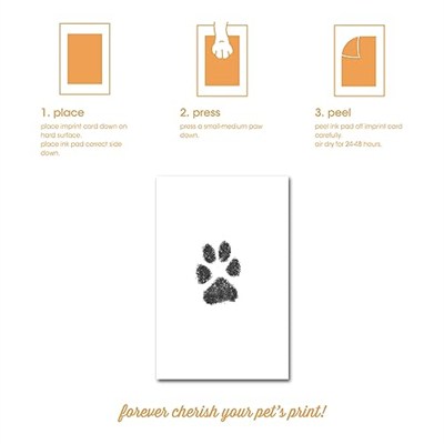 Pearhead Mürekkep Kitli Pet Masa Çerçevesi, Kendin Yap Dağınıklık Yok Pawprint Kiti, Evcil Hayvan Ebeveynleri İçin Hediye, Beyaz