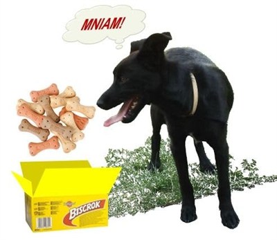 Pedigree Biscrok Köpek Bisküvisi 500 gr
