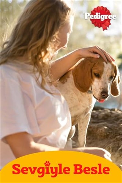 Pedigree Köpekler İçin Jumbone Sığır Etli Ödül Maması 160 G