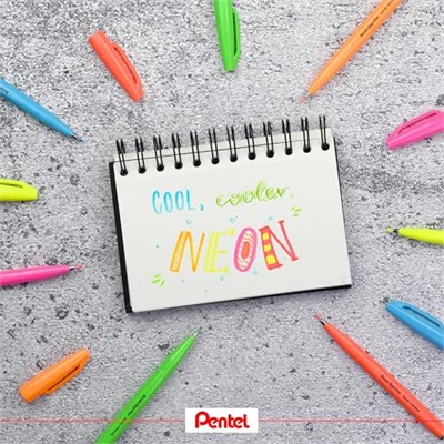 Pentel Sing Pen Brush PEMBE - Seçenekler: 1 Count (Pack of 1), 1 Stück (1er Pack), 1 stück (6er Pack)...