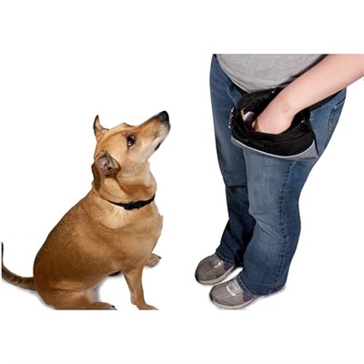 PetSafe 74144 GL Treat Pouch Black - Lezzetler için çanta