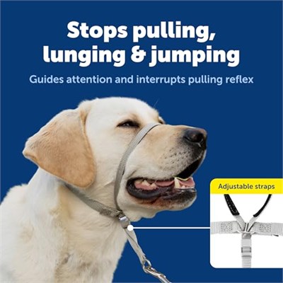 PetSafe Antrenman DVDli yumuşak kılavuz boyun bandı - Seçenekler: Medium 25-60 Lb., Medium 25-60 Lb. (2 paketi)...