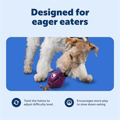 PetSafe Busy Buddy Twist n Treat Dağıtıcı Köpek Oyuncağı - Medium, Mor