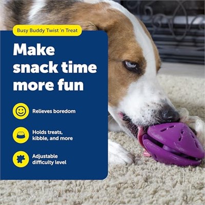 PetSafe Busy Buddy Twist n Treat Dağıtıcı Köpek Oyuncağı - Medium, Mor