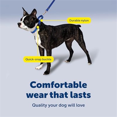 PetSafe Hızlı Kopçalı Martingale Yaka, 3/4