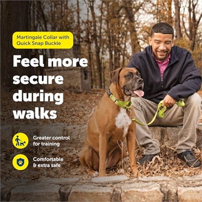 PetSafe Hızlı Kopçalı Martingale Yaka, 3/4