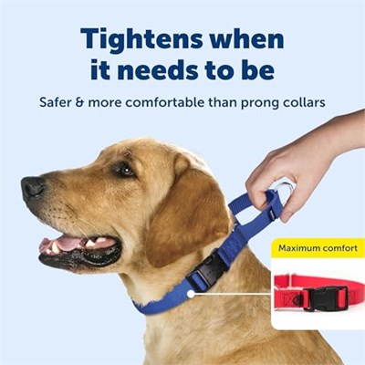 PetSafe Hızlı Kopçalı Martingale Yaka, 3/4