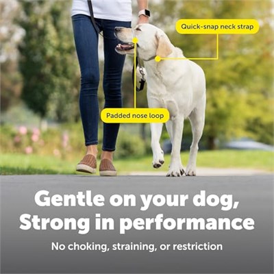 PetSafe Nazik Leader Baş Yaka, Çekmesiz Köpek Tasması, Büyük 27-59 kg, Siyah