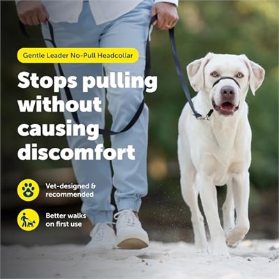 PetSafe Nazik Leader Baş Yaka, Çekmesiz Köpek Tasması, Büyük 27-59 kg, Siyah