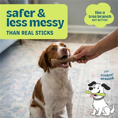 Petstages Kızılcık Ağacı Alternatif Köpek Çiğneme Oyuncağı, Medium