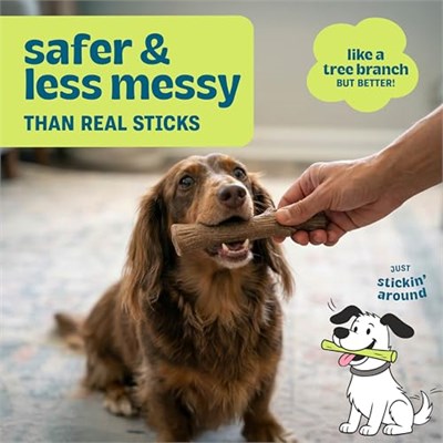 Petstages Kızılcık Ahşap Alternatif Köpek Çiğneme Oyuncağı, Küçük