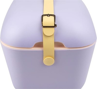 Polarbox Soğutma kutusu – Soğutucu çanta, küçük, 20 l, mor, kamp buzdolabı, soğutma kutuları, derin dondurucu, mini soğutucu çanta, piknik ve plaj, araba