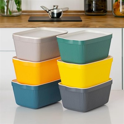 Porsima 1037 Erzak Çok Amaçlı Bakliyat Saklama Kabı Dolap İçi Organizer 6LI 1,5 L Still Box