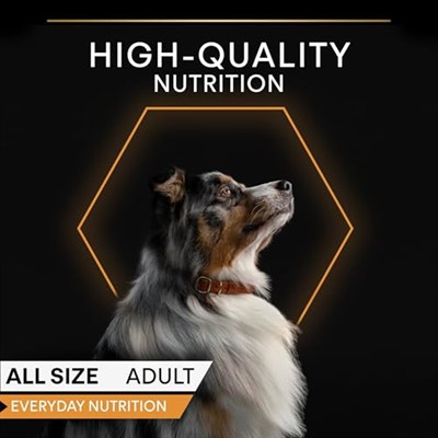Pro Plan Yetişkin Köpekler İçin Hindili Konserve Yaş Mama 400 Gram
