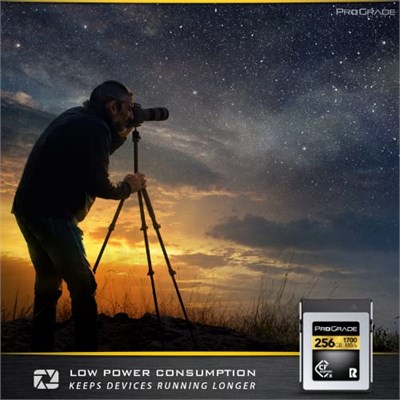 ProGrade Digital 256GB CFexpress Tip B Hafıza Kartı (Altın)