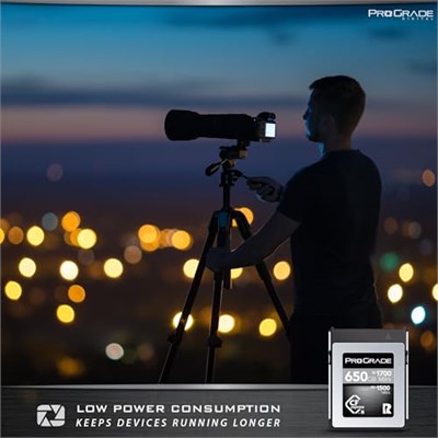 ProGrade Digital 650GB CFexpress B Tipi Bellek Kartı (KOBALT)
