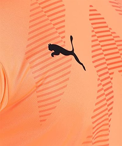 PUMA teamGLORY Jersey