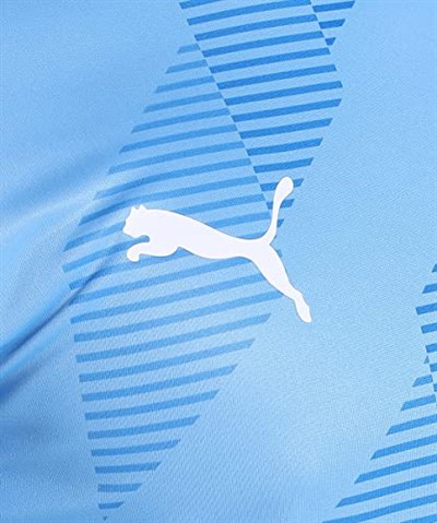 Puma Teamglory Jersey Erkek Futbol Forması 70501718 Mavi